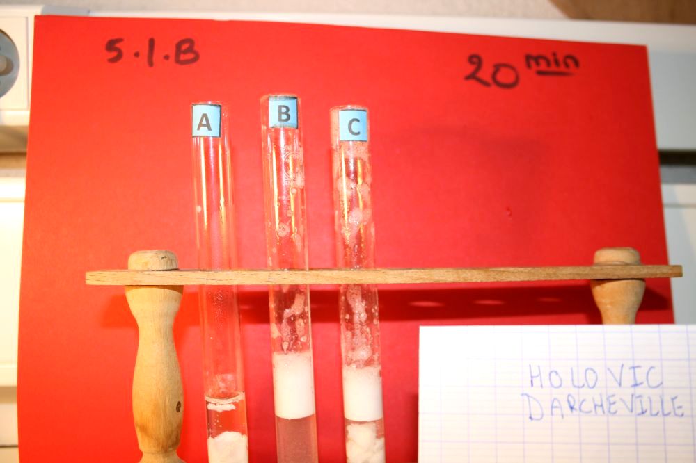 gal/LES_CINQUIEMES/ACTIVITE DIGESTION IN VITRO/Groupe_03/Groupe03_T_00h20min/Groupe03_temps00H20min_30.jpg
